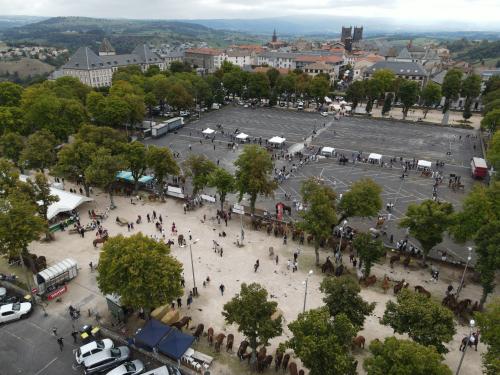 Saint-Flour Chevaux - 27-08-2022(0490).jpg